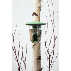 CJ Wildlife Gedroogde Meelwormen In Pot 440gr