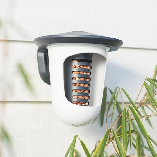 CJ Wildlife Multi FeedR 6 CJ Wildlife Multi FeedR - Afbeelding 6