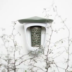 CJ Wildlife Pindacake Met Zaden 500 Ml - 6 Stuks + Gratis Hanger