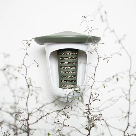 CJ Wildlife Pindacake Met Zaden 500 Ml - 6 Stuks + Gratis Hanger 1 CJ Wildlife Pindacake Met Zaden 500 Ml - 6 Stuks + Gratis Hanger