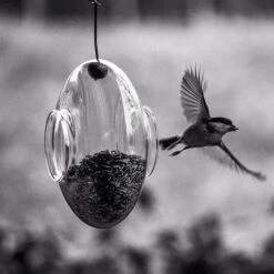 Protect Garden Beloukha Garden Concentraat 900 Ml