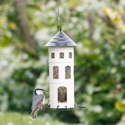 Pokon Mos Weg! 100m2 - 3.5 Kilo Pokon