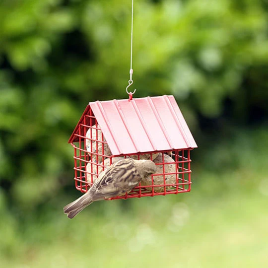 Wildlife Garden Rood Voederhuisje Voor Vetbollen 2 Wildlife Garden Rood Voederhuisje Voor Vetbollen - Afbeelding 2