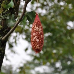 Hadivo Pindanetje XL 60stuks A 195gram Tuinvogelvoer -Ecostyle Winkel image 274