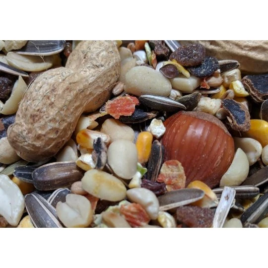 Hadivo Eekhoorn Voedermix 10kg 1 Hadivo Eekhoorn Voedermix 10kg