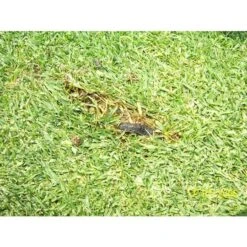 ECOstyle Aaltjes Tegen Aardrupsen -Ecostyle Winkel image 362