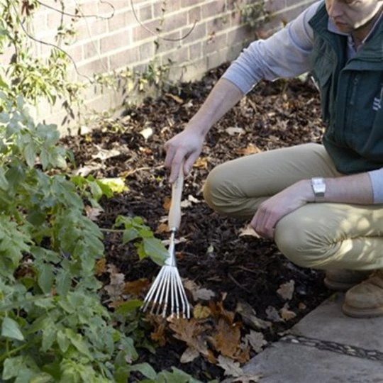 Burgon & Ball RHS Borderhark - Verlengd 4 Burgon & Ball RHS Borderhark - Verlengd - Afbeelding 4