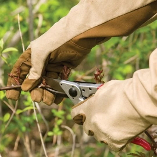 De Wiltfang Foxgloves Rozenhandschoenen Gauntlet 3 De Wiltfang Foxgloves Rozenhandschoenen Gauntlet - Afbeelding 3
