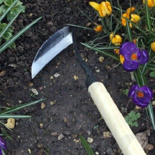 Burgon & Ball RHS Schrepel 12 Cm (koolstofstaal) 2 Burgon & Ball RHS Schrepel 12 Cm (koolstofstaal) - Afbeelding 2