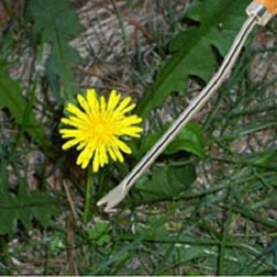 Burgon & Ball RHS Onkruidsteker - Verlengd 2 Burgon & Ball RHS Onkruidsteker - Verlengd - Afbeelding 2