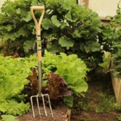 Burgon & Ball RHS Spitvork 4 Tanden -Ecostyle Winkel image 609