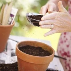 De Wiltfang Handzeef -Ecostyle Winkel image 692