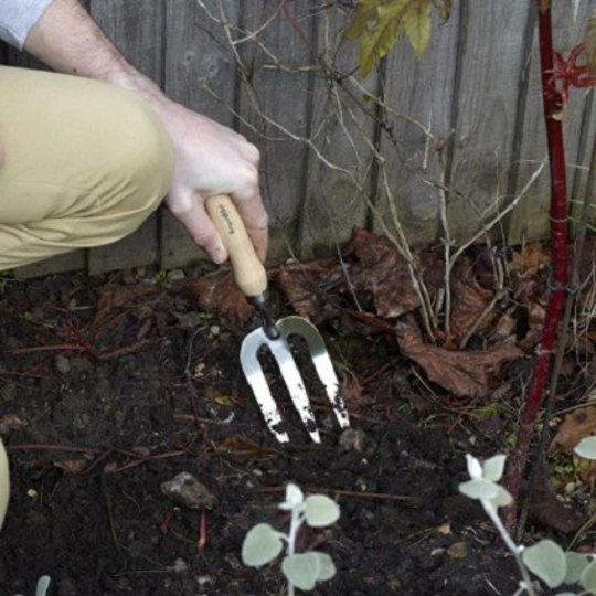 Burgon & Ball RHS Handrooivork 2 Burgon & Ball RHS Handrooivork - Afbeelding 2