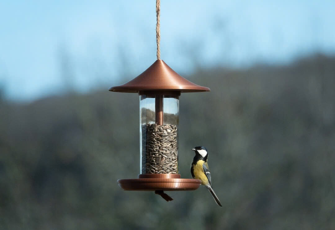 Ecostyle Winkel -Ecostyle Winkel z6439957354591 241d1e80e65e33fa6ba103076d224548