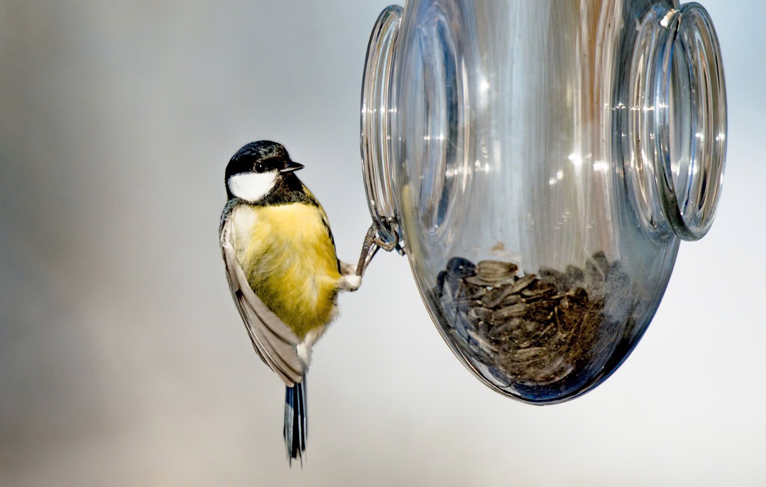 Ecostyle Winkel -Ecostyle Winkel z6439957366473 561b86dee5584a9920e5ffc7fb495365