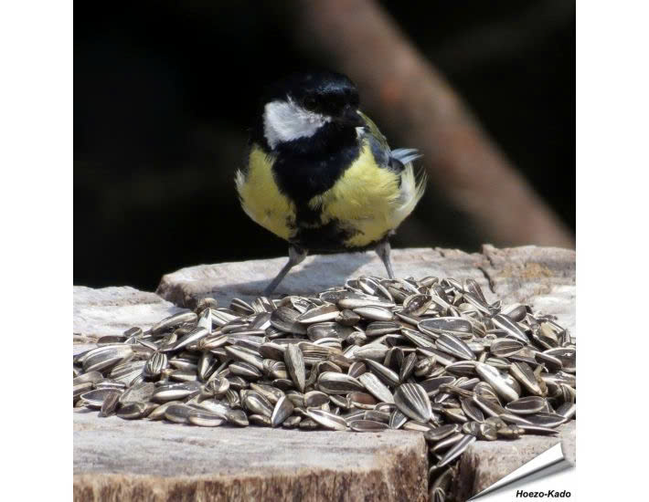 Ecostyle Winkel -Ecostyle Winkel z6440126975389 db0f2d13ea348341b006bd3981453480